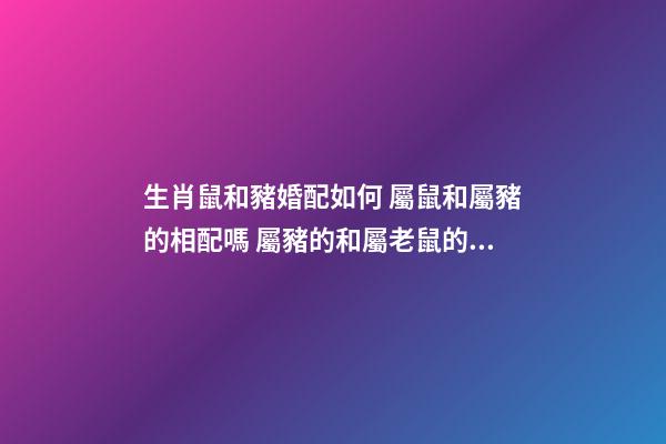 生肖鼠和豬婚配如何 屬鼠和屬豬的相配嗎 屬豬的和屬老鼠的婚姻相配嗎-第1張-觀點(diǎn)-玄機(jī)派